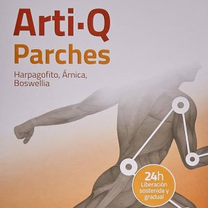 ARTI Q 5 PARCHES SAKAI